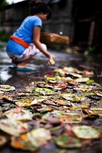 A lady gives her daily offering in Bali, Indonesia, Southeast Asia, Asia