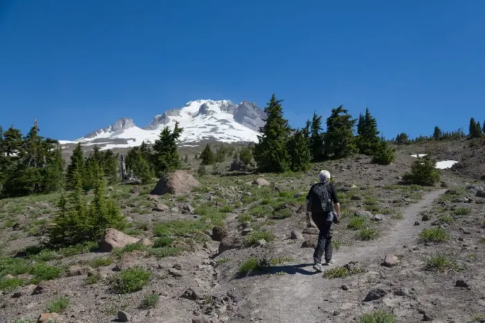 Framed Print : Lady hiker walking on a trail on Mount Hood, part of the Cascade Range, Pacific Northwest region Framed Print : Lady hiker walking on a trail on Mount Hood, part of the Cascade Range, Pacific Northwest region