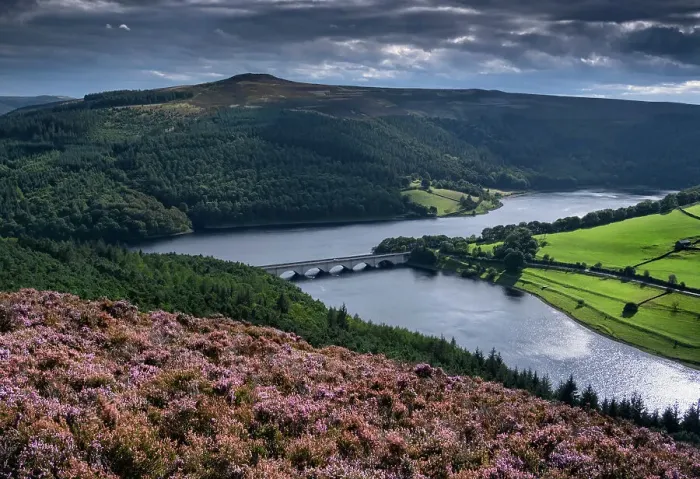Framed Print : Ladybower Reservoir and Win Hill in summer from heather clad Derwent Edge, Peak District National Park, Derbyshire, England, United Kingdom, Europe Framed Print : Ladybower Reservoir and Win Hill in summer from heather clad Derwent Edge, Peak District National Park, Derbyshire, England, United Kingdom, Europe