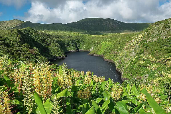 Lagoa Comprida volcanic lake surrounded by vegetations and ginger lily flowers on a sunny day, Flores island, Azores islands, Portugal, Atlantic Ocean, Europe