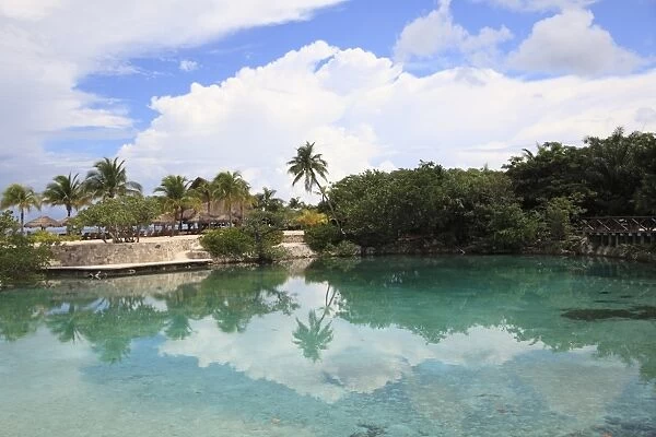 Lagoon, Chankanaab National Park, Cozumel Island (Isla de Cozumel), Quintana Roo, Mexico, Caribbean, North America