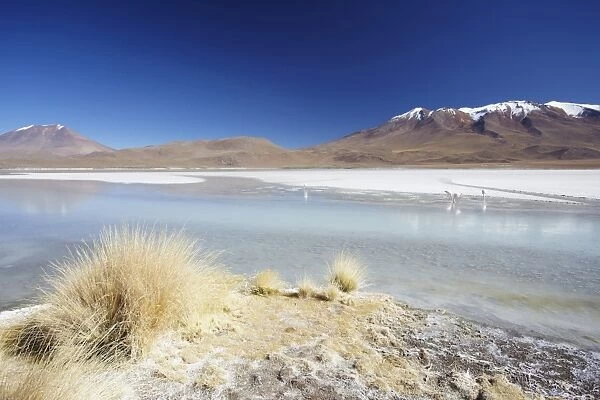 Laguna Adeyonda on Altiplano, Potosi Department, Bolivia, South America
