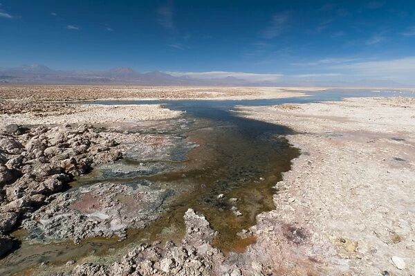 Laguna Chaxa, Salar de Atacama, Atacama Desert, Chile, South America