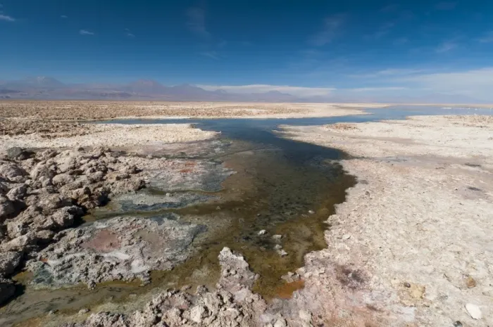 Framed Print : Laguna Chaxa, Salar de Atacama, Atacama Desert, Chile, South America Framed Print : Laguna Chaxa, Salar de Atacama, Atacama Desert, Chile, South America