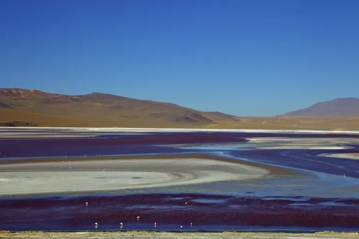 Framed Print : Laguna Colorada (Red Lagoon), a shallow salt lake in the southwest of the altiplano, Eduardo Avaroa Andean Fauna National Reserve, Bolivia, South America Framed Print : Laguna Colorada (Red Lagoon), a shallow salt lake in the southwest of the altiplano, Eduardo Avaroa Andean Fauna National Reserve, Bolivia, South America