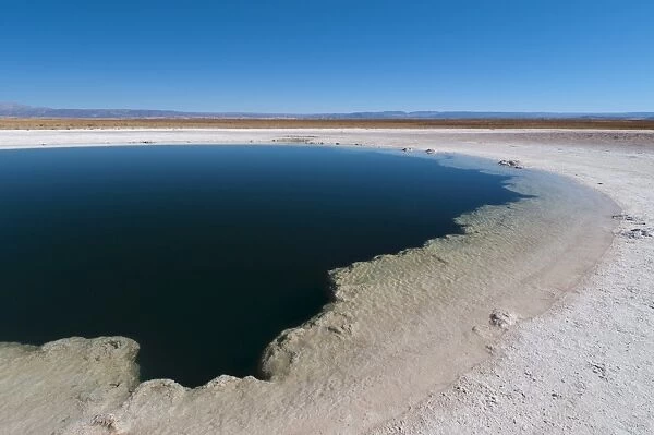 Laguna Sejar, Salar de Atacama, Atacama Desert, Chile, South America