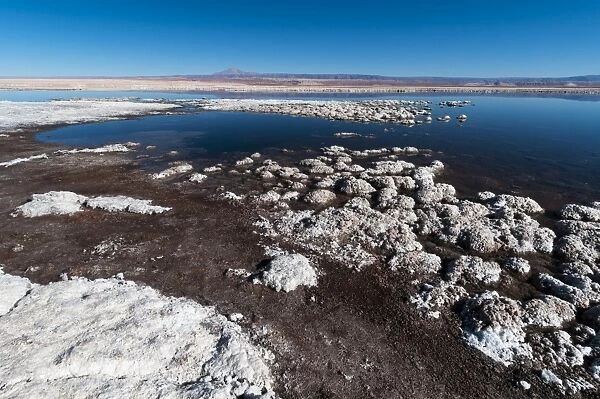 Laguna Tebenquiche, Salar de Atacama, Atacama Desert, Chile, South America
