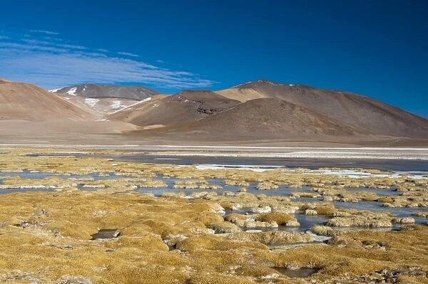 Laguna Tuyajto, Atacama Desert, Chile, South America