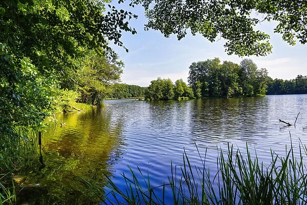 Lake Amts surrounded by forest, Biosphere reserve Schorfheide-Chorin, Brandenburg, Germany, Europe