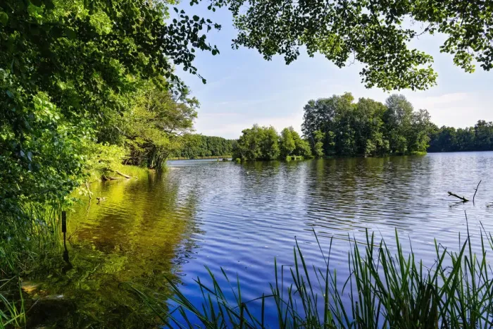 Framed Print : Lake Amts surrounded by forest, Biosphere reserve Schorfheide-Chorin, Brandenburg, Germany, Europe Framed Print : Lake Amts surrounded by forest, Biosphere reserve Schorfheide-Chorin, Brandenburg, Germany, Europe