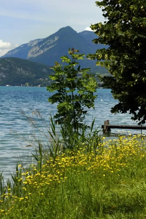 Framed Print : Lake Annecy Framed Print : Lake Annecy