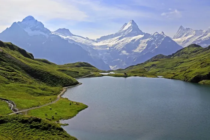 Framed Print : Lake Bachalpsee at First and Bernese Alps, Grindelwald, Bernese Oberland, Switzerland Framed Print : Lake Bachalpsee at First and Bernese Alps, Grindelwald, Bernese Oberland, Switzerland
