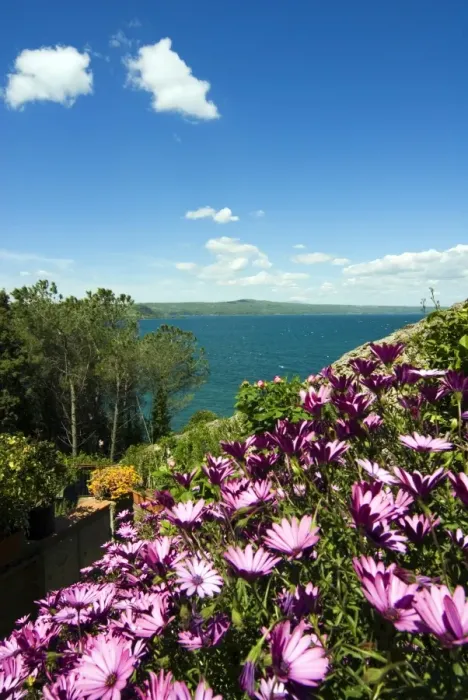 Framed Print : Lake of Bolsena, view from Capodimonte, Viterbo, Lazio, Italy, Europe Framed Print : Lake of Bolsena, view from Capodimonte, Viterbo, Lazio, Italy, Europe