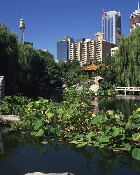 The lake in the Chinese Garden at Darling Harbour with the city skyline behind