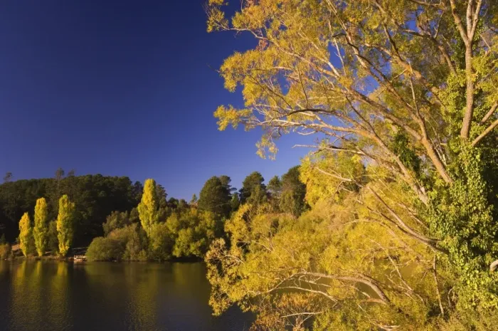 Framed Print : Lake Daylesford, Daylesford, Victoria, Australia, Pacific Framed Print : Lake Daylesford, Daylesford, Victoria, Australia, Pacific