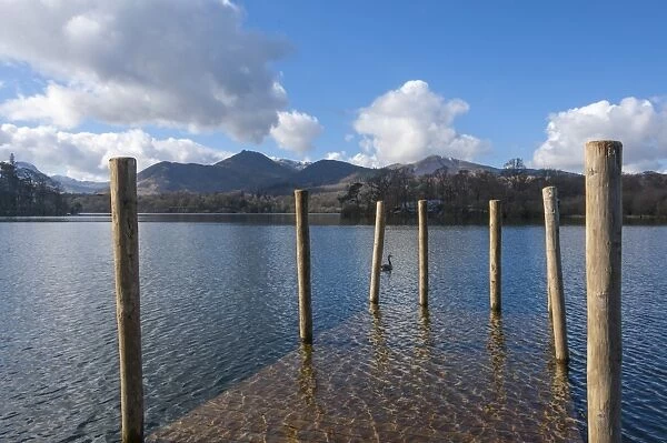 Lake Derwentwater and the northern fells, view from the boat landings at Keswick, North Lakeland, Lake District National Park, Keswick, Cumbria, England, United Kingdom, Europe