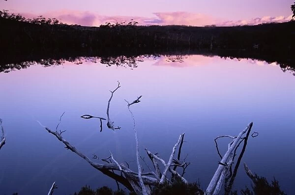 Lake Dobson, Mount Field National Park, Tasmania, Australia, Pacific