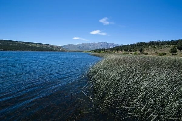 Lake above Esquel, Chubut, Patagonia, Argentina, South America