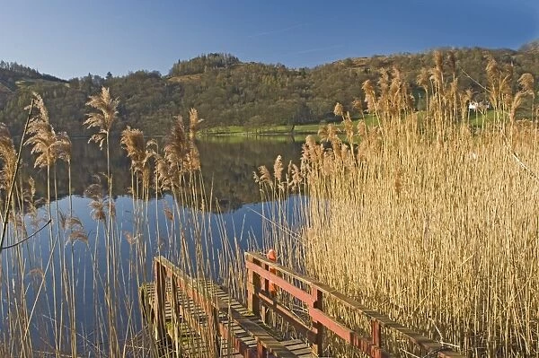 Lake Grasmere, Lake District National Park, Cumbria, England, United Kingdom, Europe