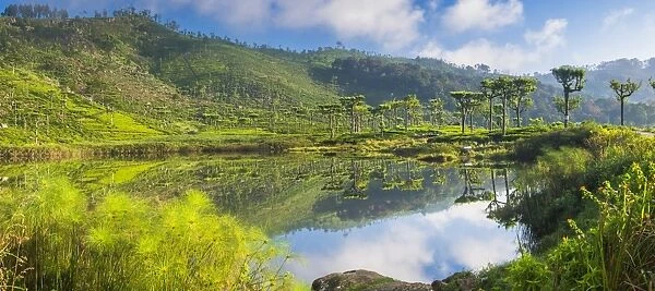 Lake at Haputale, Nuwara Eliya District, Sri Lanka Hill Country, Sri Lanka, Asia
