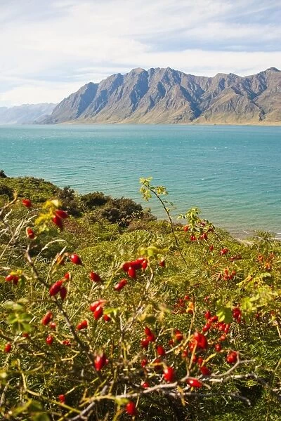 Lake Hawea, Southern Alps Mountain Range, West Coast, South Island, New Zealand, Pacific