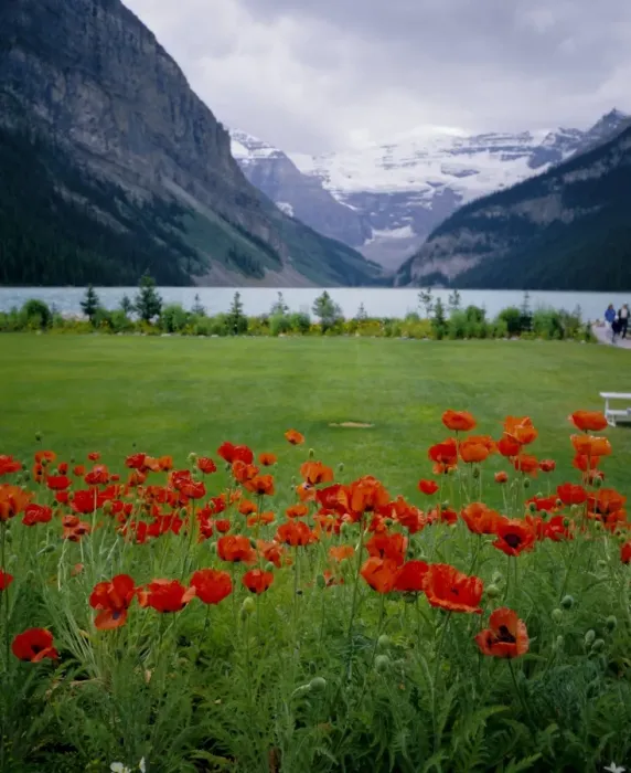 Framed Print : Lake Louise, Banff National Park, UNESCO World Heritage Site, Rocky Mountains Framed Print : Lake Louise, Banff National Park, UNESCO World Heritage Site, Rocky Mountains