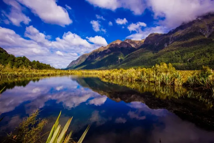 Framed Print : Lake in Milford Sound, Fjordlands National Park, UNESCO World Heritage Site, South Island Framed Print : Lake in Milford Sound, Fjordlands National Park, UNESCO World Heritage Site, South Island