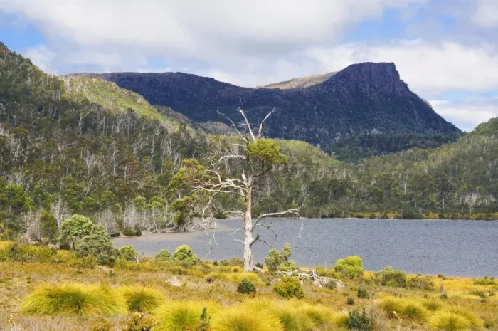 Framed Print : Lake Bill and Mt. Rogoona, Walls of Jerusalem National Park, Tasmania, Australia, Pacific Framed Print : Lake Bill and Mt. Rogoona, Walls of Jerusalem National Park, Tasmania, Australia, Pacific