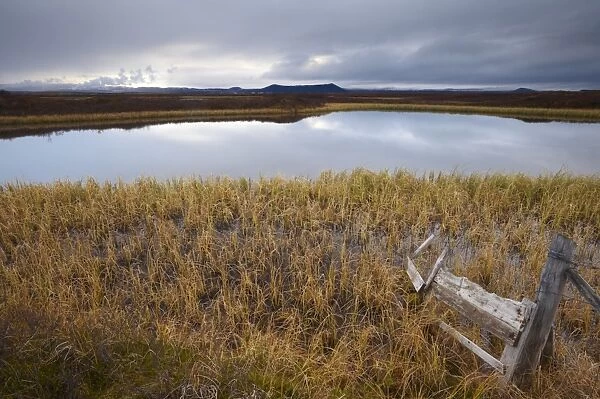 Lake Myvatn, bird protected area in autumn, north-west shore of lake, looking eastwards
