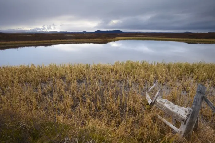 Framed Print : Lake Myvatn, bird protected area in autumn, north-west shore of lake, looking eastwards Framed Print : Lake Myvatn, bird protected area in autumn, north-west shore of lake, looking eastwards