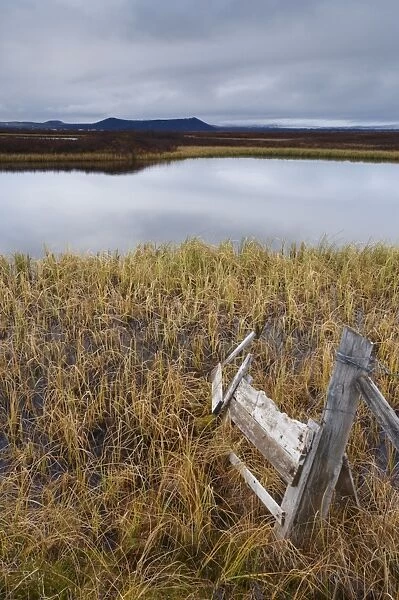 Lake Myvatn, bird protected area in autumn, north-west shore of lake, looking eastwards