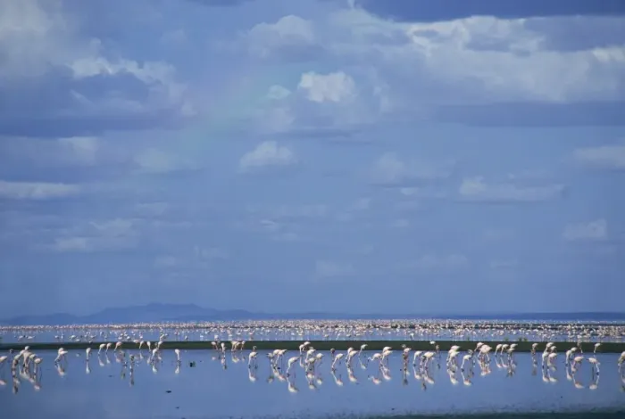 Framed Print : Lake Natron, Eastern Rift Valley, Tanzania, East Africa, Africa Framed Print : Lake Natron, Eastern Rift Valley, Tanzania, East Africa, Africa