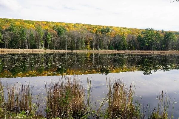 Lake near Great Barrington, The Berkshires, Massachusetts, New England, United States of America