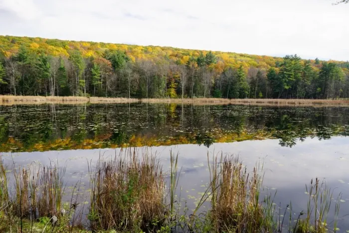 Framed Print : Lake near Great Barrington, The Berkshires, Massachusetts, New England, United States of America Framed Print : Lake near Great Barrington, The Berkshires, Massachusetts, New England, United States of America