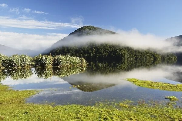 Lake Paringa, West Coast, South Island, New Zealand, Pacific