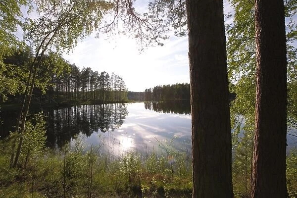 Lake Pihlajavesi, Punkaharju Nature Reserve, Punkaharju Ridge, Saimaa Lake District