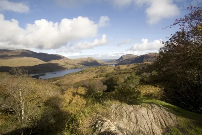 Framed Print : Lake Queen Victoria Ladies View, Upper Lake, Killarney National Park, County Kerry Framed Print : Lake Queen Victoria Ladies View, Upper Lake, Killarney National Park, County Kerry