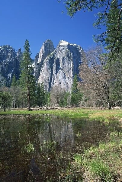 Lake reflecting trees and the Cathedral Rocks in the