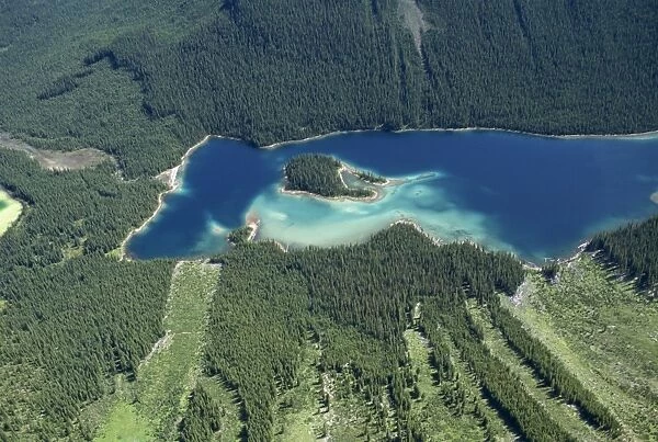 Lake in Rocky Mountains near Banff, with avalanche damage visible in bottom half of picture