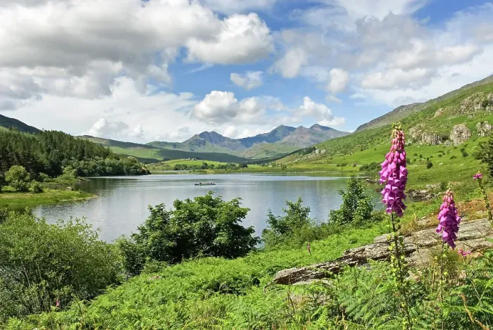 Framed Print : Lake in Snowdonia National Park (Eryri), Wales, United Kingdom Framed Print : Lake in Snowdonia National Park (Eryri), Wales, United Kingdom