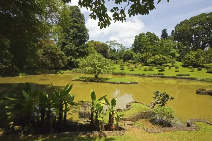Framed Print : The lake by South Drive in the 60 hectare Royal Botanic Gardens at Peradeniya Framed Print : The lake by South Drive in the 60 hectare Royal Botanic Gardens at Peradeniya