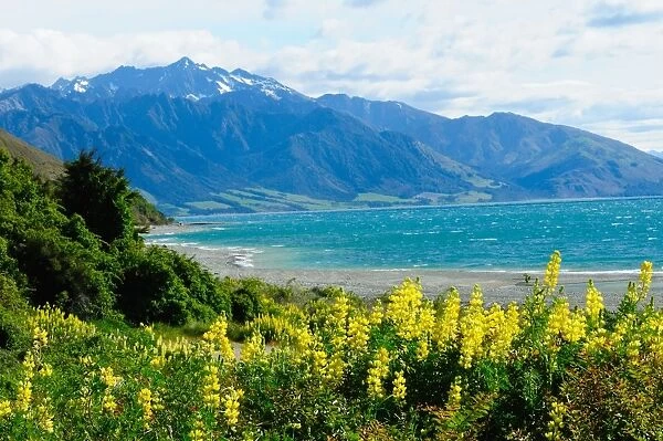 Lake Te Anau, Southland, South Island, New Zealand, Pacific