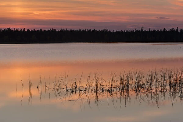 Lake Toras-Sieppi at sunset, Torassieppi, Muonio, Lapland, Finland, Europe
