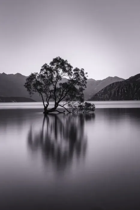 Framed Print : Lake Wanaka, Blue Hour, Mount-Aspiring National Park, UNESCO World Heritage Site, Otago Framed Print : Lake Wanaka, Blue Hour, Mount-Aspiring National Park, UNESCO World Heritage Site, Otago