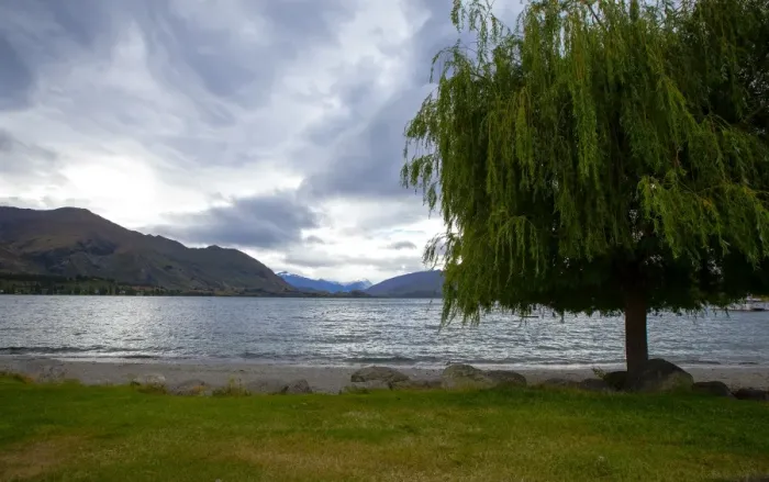 Framed Print : Lake Wanaka, Otago, South Island, New Zealand, Pacific Framed Print : Lake Wanaka, Otago, South Island, New Zealand, Pacific