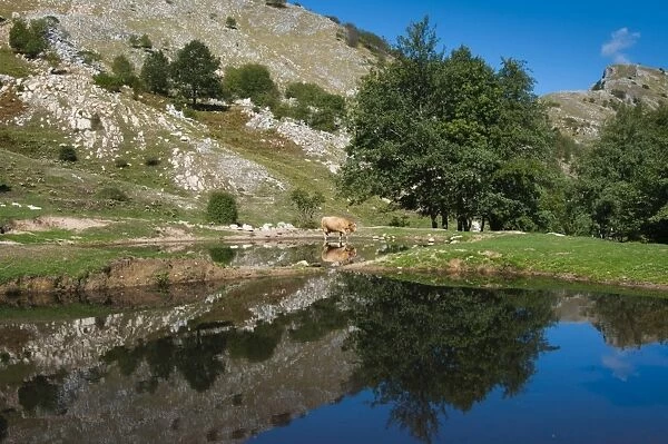 Lakes of Bozzone, Matanna Mountain (Monte Matanna), Apuan Alps (Alpi Apuane), Lucca Province, Tuscany, Italy, Europe