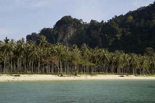 Lanah bay, Phi Phi Don Island