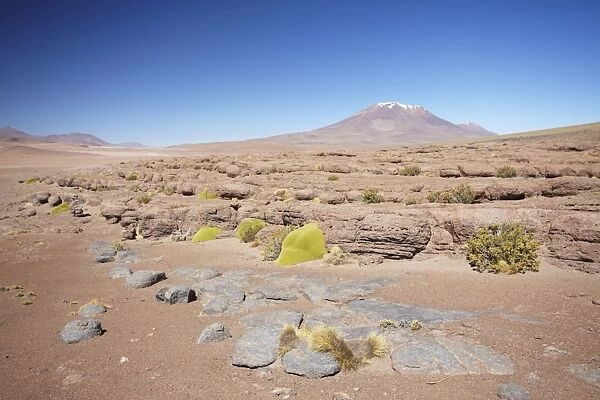 Landscape of Altiplano, Potosi Department, Bolivia, South America