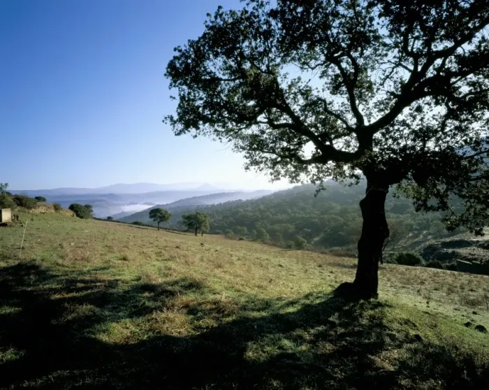 Framed Print : Landscape, Barbagia Framed Print : Landscape, Barbagia