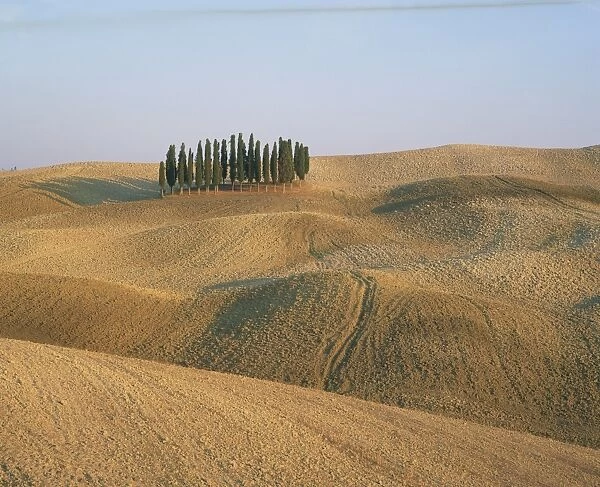 Landscape of bare fields and cypress trees in Tuscany